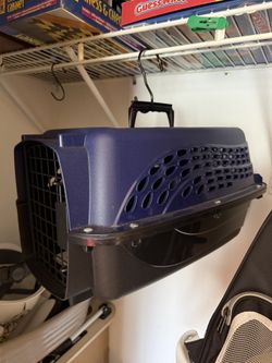 Cat Crate, Backpack, Tote and Cat Tree