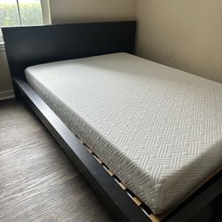 Bed Frame Queen Size - IKEA MALM dark brown - $145 
