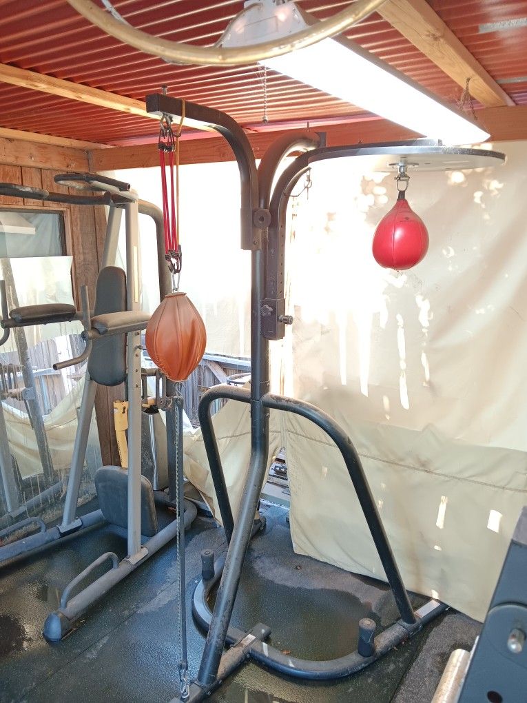 100 Lbs Everlast Heavy Bag, Speed Bag, Double End Bag Set for Sale in