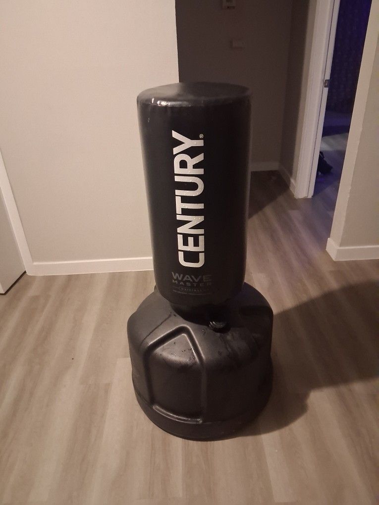 Century Waves Master