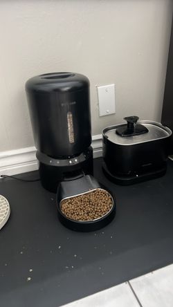 Cat feeder