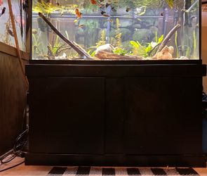 75 gallon tank as is Fully loaded