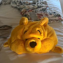Winnie the Pooh hat