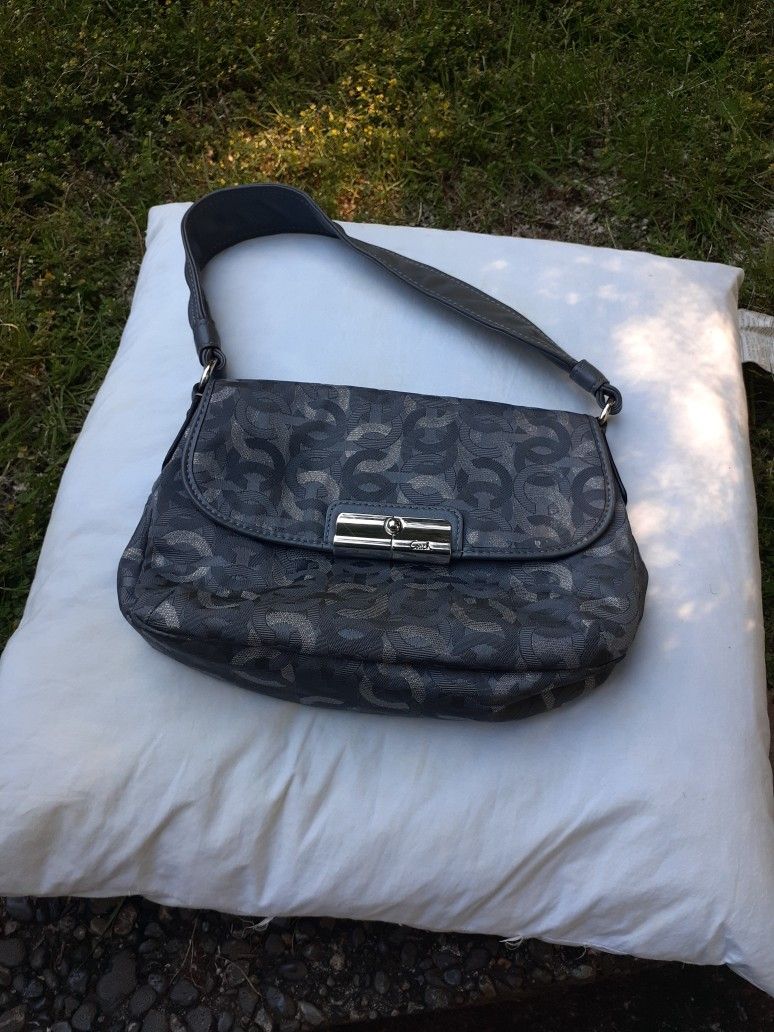 Small Coach Purse