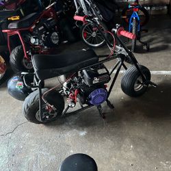 Doodle Bug Mini Bike