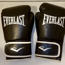 Everlast Boxing Gloves L/XL