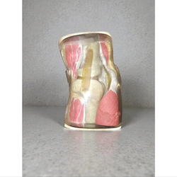 Vintage Medical Knee Model Only Mid Century Knee Model Halloween Decorations