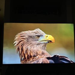 65” Samsung 4K QLED 
