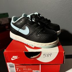 Toddler Nike Dunk 