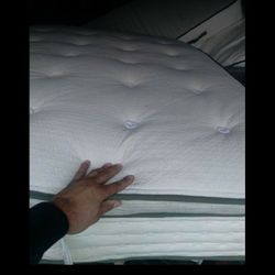 Avocado queen pillowrop Mattress