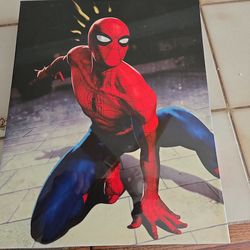 Batman and Spiderman picture. Like New. $20 for both