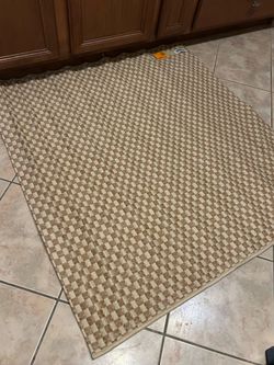 Beige Checkered Woven Area Rug