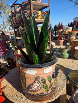 🪷unique, eye-catching pieces🌵POTS
Southwest metal Art🪷Cacti & Flowers