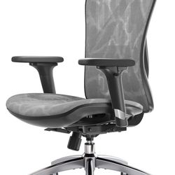 SIHOO M57 Ergonomic Office Chair with 3 Way Armrests Lumbar Support and Adjustable Headrest High Back Tilt Function Grey