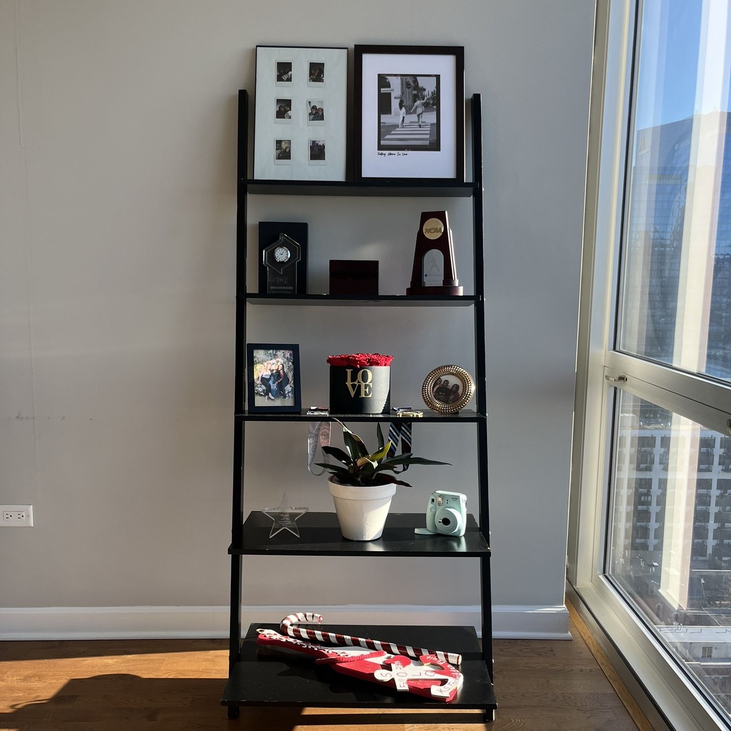 Black Leaning Ladder Shelf for Storage and Decor 