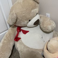Plushy Bear