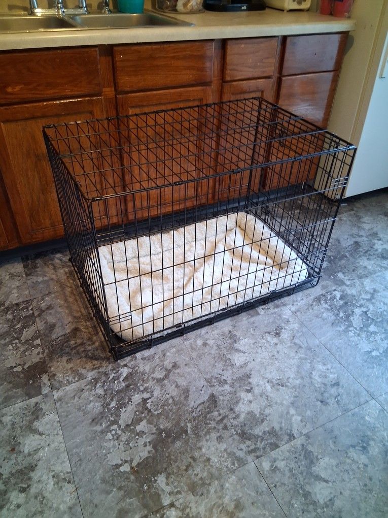 Dog Cage