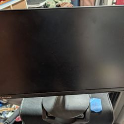 Lenovo L24q-30 23.8" Monitor - QHD