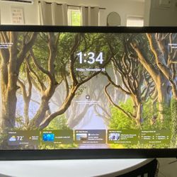 Vizio Tv / Monitor