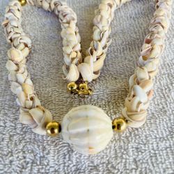  Strombus Luthanas Strawberry. Shells 22” Long 