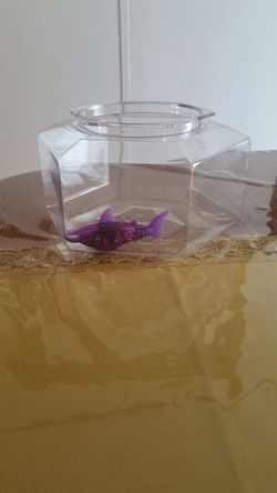 Tank with fish