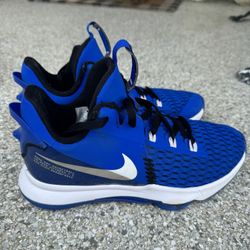 Nike LeBron Witness 5 Shoes- size 9