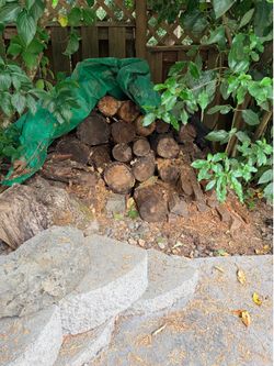 Free firewood
