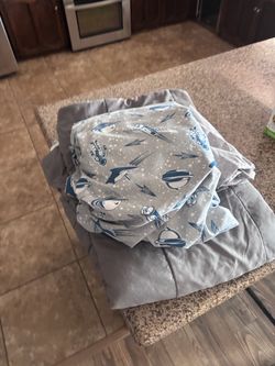Free Boys twin bed sheets and comforter