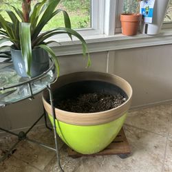 Line Green Planter Filled With Soil