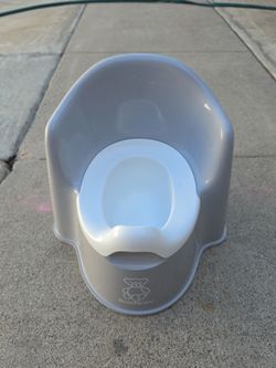 Potty training chair