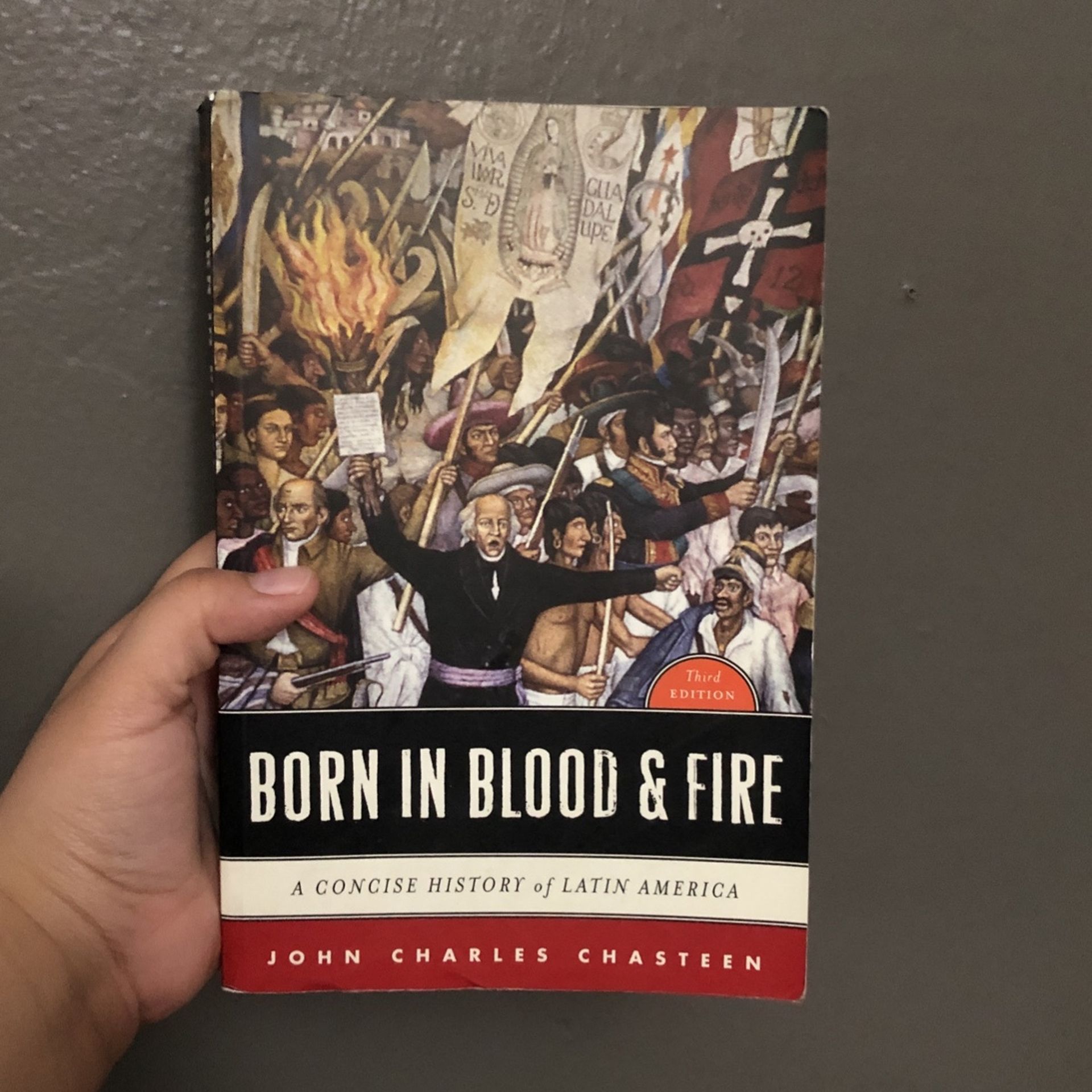 Born In Blood And Fire