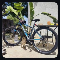 Giant Mountain Bike Talon M