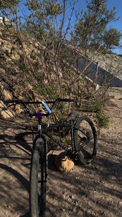 street co 29er