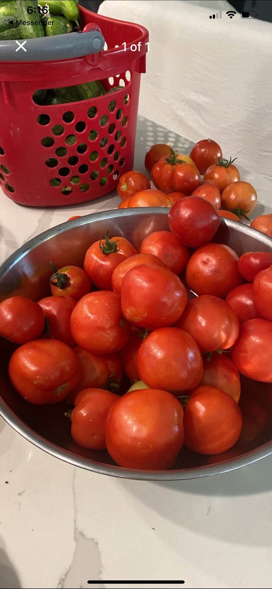 Tomatoes Pickling Cucumbers