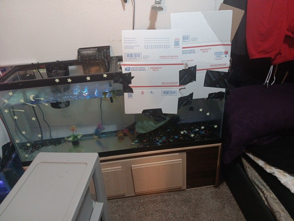 55 Gallon Tall Aquarium