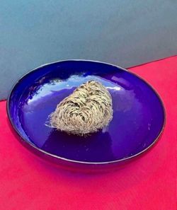 Rose of Jericho
