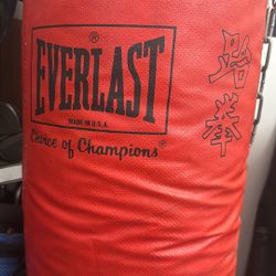 Everlast Punching / kick bag