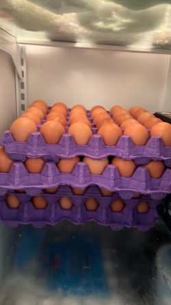 Huevos orgánicos  30x$5
