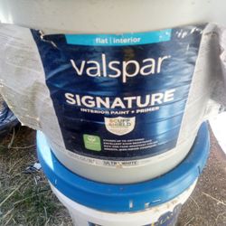 Valspar Flat/Interior Paint