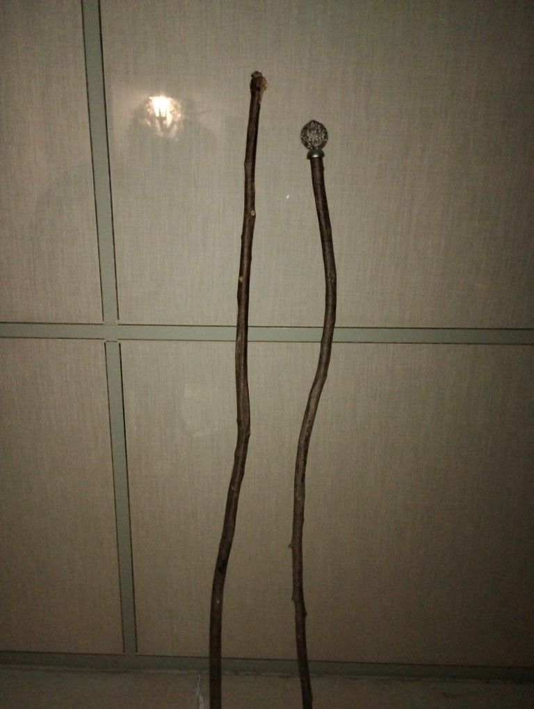 Walking Canes