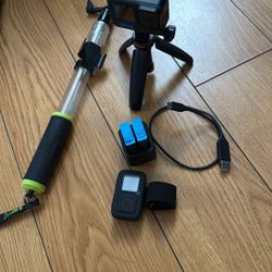 Gopro 10 With Remote W/64gb SD