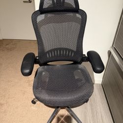 Ergonomic Task Chair