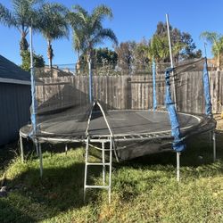 Trampoline 