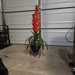 Plastic Plant Decoration 