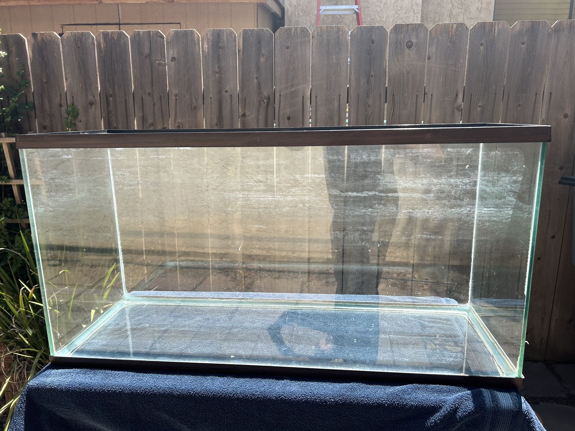 30 Gallon Fish Tank