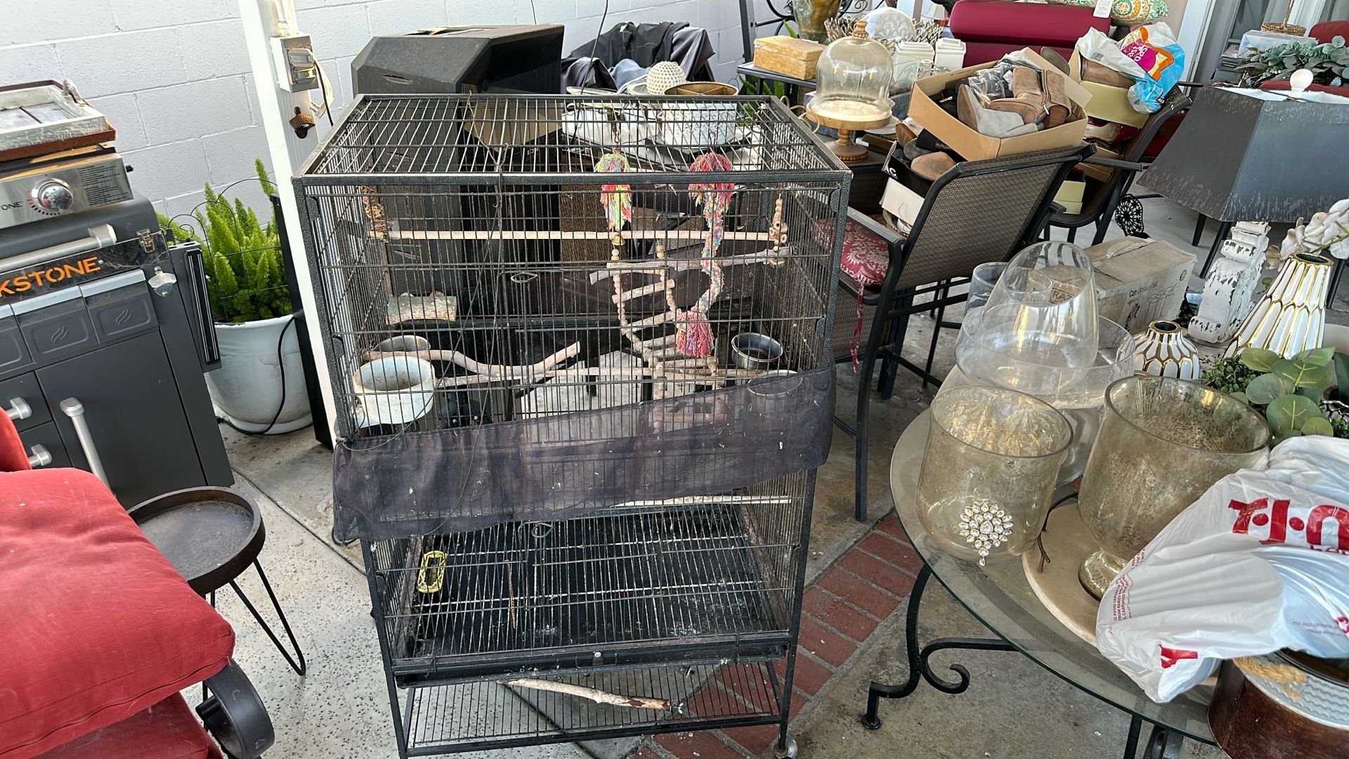Bird Cage