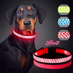 Rechargeable LED Dog Collar Medium Red/Pink