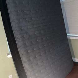 Queen Size Mattress Was In Spare Room Never Used