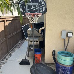 Free Lifetime Basketball Hoop