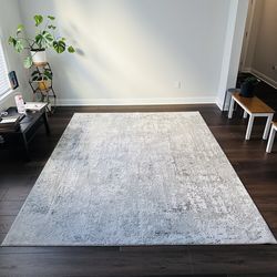 Big Living room carpet